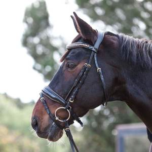 Amalfi Black Snaffle Brevet/Bronze sparkle piping HORSE Comfort BRIDLE Fancy Decorative Anatomical Horse Bridle smart - Product Image 3