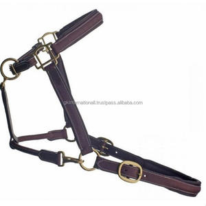 Design personnalisé Licou en cuir surélevé et rembourré entièrement réglable en épi complet sur la taille avec matériel en laiton massif robuste - Product Image 5