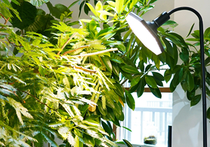 ROKI 50W IP54 Octogonal LED Éclairage d'intérieur pour plantes et aquariums Ra97 High CRI 610-620 PPFD Grow Lamp avec large irradiation - Product Image 2