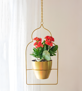 Venta al por mayor maceta colgante de metal dorado con soporte para jardín al aire libre diseño de maceta a un precio económico para uso doméstico - Product Image 6