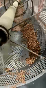 Ligne de décorticage et de concassage des noyaux de noisettes - Product Image 4