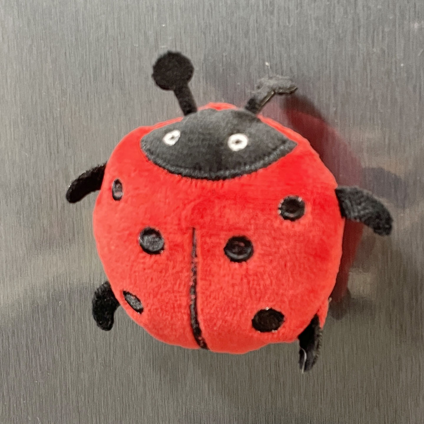 Red Ladybug 8cm 15g