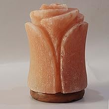 Lampes en sel naturel rose de l'Himalaya fabriquées à la main en cristal personnalisé E26 Source de lumière LED électrique Dimmable 2700K blanc chaud utilisation de la chambre - Product Image 5