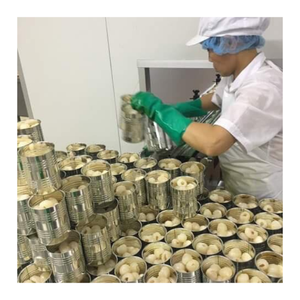 ลิ้นจี่บรรจุกระป๋องคุณภาพพรีเมี่ยมจากเวียดนามลิ้นจี่บรรจุกระป๋อง - Product Image 1