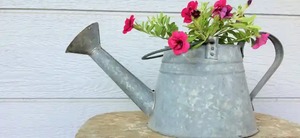 Regadera de metal galvanizada antigua para jardín, organizador de flores, decoración para boda, hogar y jardín - Product Image 5