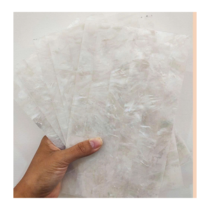 Vietnam nacre coquille tranches nacre pièces pour incrustation artistique bijoux accessoires panneaux de meubles décoratifs - Product Image 2