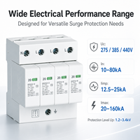 Dispositif de protection contre les surtensions DZ47sY SPD T1 T2 T3 1P 2P 3P 4P 1P+N 3P+N 275V 385V 440V 20kA-160kA Protection contre les surtensions de foudre sur rail DIN
