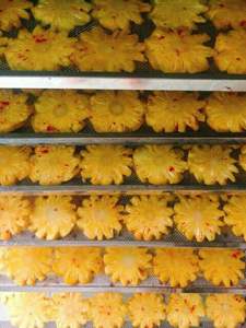 Ananas séché aux fruits du Vietnam, produit de qualité supérieure, Ms sofia - Product Image 4