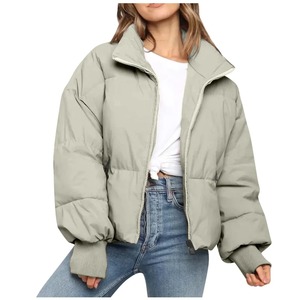 Veste d'hiver unie décontractée de haute qualité pour femmes Premium OEM veste à glissière pour femme nouvelle veste bouffante imperméable fabricant - Product Image 3