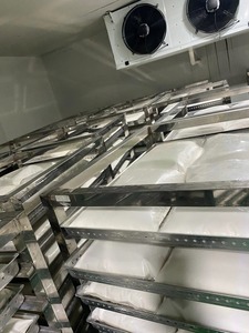 Lait de coco naturel de qualité supérieure congelé processus IQF meilleure qualité pour la cuisson Desserts Smoothies emballage en vrac prêt à l'exportation - Product Image 3