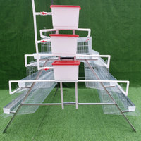 Cages automatiques de haute qualité pour poules pondeuses, élevage avicole, à vendre au Sénégal