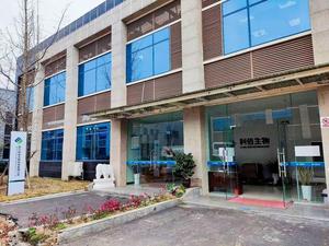 Miếng dán thảo dược Bai Cao Jin Bang giảm đau mỏi cơ, cứng khớp 9x12cm 8 miếng/hộp Sẵn sàng giao hàng - Product Image 6