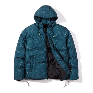 Doudoune à capuche en Nylon pour homme, Logo personnalisé, léger et chaud, en forme de plume de canard - Product Image 2