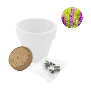 Barattolo Personalizzato di Semi di Gelso per Regali Promozionali e Aziendali - Product Image 2