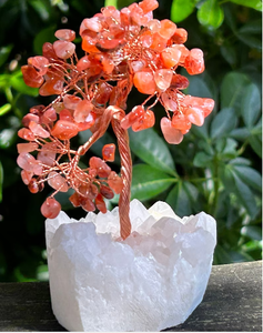 Meilleure qualité Offre Spéciale en vrac naturel poli Orange naturel cornaline arbre en pierre pour la décoration et le vastu - Product Image 3