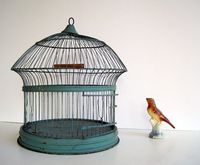 Vente en gros de cage à oiseaux antique, article d'artisanat personnalisable, fer de haute qualité, article de gamme très basse, meilleure qualité, divers