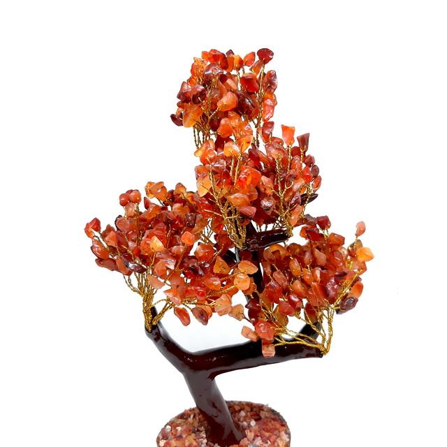 Red Carnelian 300 Bead