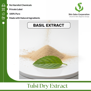 Polvo de Extracto Seco de Tulsi de Alta Calidad para los Mercados de Ingredientes Herbales, Cosméticos y Funcionales - Product Image 3