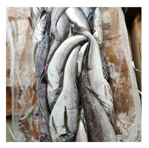 Poisson de mer congelé, morue, HGT / Poisson entier à vendre - Product Image 5