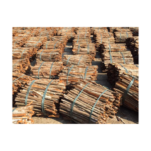 Fabricante Especializado en la Suministro de Todo Tipo de Corteza de Árbol Seca, Corteza de Árbol de Canela y Árbol de Canela Aromático de Vietnam - Product Image 5