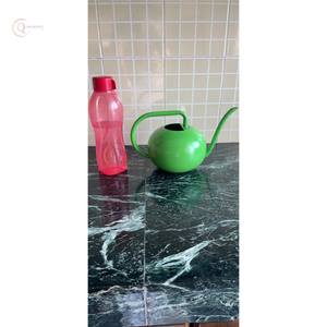 บัวรดน้ำโลหะสีเขียวแบบทันสมัยสามารถพ่นได้ยาวทันสมัยเครื่องมือทำสวนในร่มขนาดกะทัดรัดบัวรดน้ำโลหะจากอินเดีย - Product Image 1