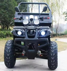 Vehículo Utilitario Todoterreno (UTV) de 250cc, Legal para Circular en la Calle, Quad, Bicicleta, Vehículo Agrícola ( WHATS.APP: /+1 504 206 7821 ) - Product Image 3