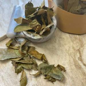 ใบฝรั่งแห้งแบบมาตรฐานใบฝรั่งส่งออกจากเวียดนาม100% - Product Image 1