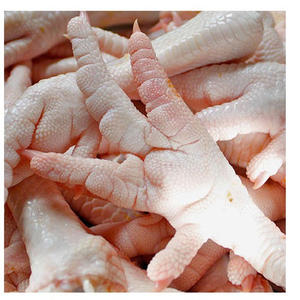 Patas de pollo congeladas de alta calidad / Alas de pollo congeladas - Product Image 6