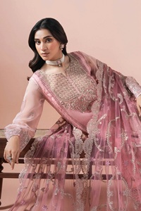 ชุดฤดูหนาวขายส่งสำหรับผู้หญิง คามีซ ชัลวาร์ ผ้าออร์แกนซ่า ชุดฤดูหนาว ชัลวาร์ คามีซ ชุดปักลายผ้าออร์แกนซ่า ชุดฤดูหนาวแบบปากีสถาน - Product Image 6