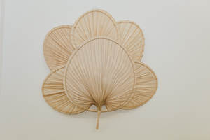 Decoración hecha a mano de hoja de palma, estilo bohemio, respetuoso con el medio ambiente, para el hogar, venta al por mayor - Product Image 6