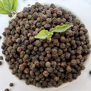 Poivre noir moulu de haute qualité en provenance du Vietnam, épice à base de plantes séchées, disponible dans toutes les qualités et à prix compétitif - Product Image 1