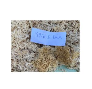 Musgo marino seco orgánico al por mayor para procesamiento de alimentos, precio competitivo de fábrica de Vietnam. - Product Image 6