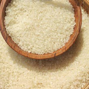 Arroz Japonica para Cocinar Sushi, Precio Bajo, WA 84 985971368, Otro Nombre: Riz, Similar a Camolino Calrose - Product Image 3