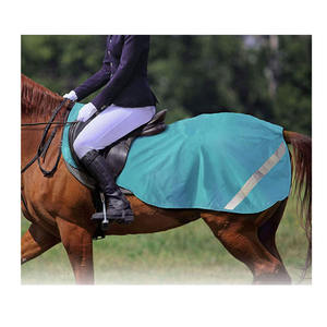 Gran oferta, ligero, 1280, Denier, Ripstop, hoja de ejercicio de caballo, alfombra impermeable para caballo para ejercicio - Product Image 1