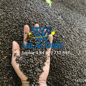 Pimienta negra-Venta caliente Precio barato Pimienta negra Bajo MOQ Precio de exportación al por mayor Proveedor más barato | Whatsapp + 84 969 732 947 - Product Image 2