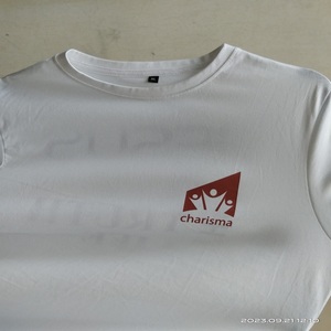 OEM nouveauté 100% coton polyester hommes plaine col rond logo privé impression solide vêtements d'été T-shirt prix de gros - Product Image 4