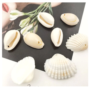 Mezcla de conchas marinas pequeñas reales para decoración de uñas, decoración de fundas de teléfono, fabricación de jabonera de conchas marinas - Product Image 4