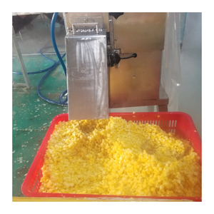 สับปะรดแช่แข็ง Iqf เวียดนามรสชาติหวานธรรมชาติพรีเมี่ยมขายส่งสับปะรดแช่แข็งส่งออกจากโรงงานโดยตรง - Product Image 6