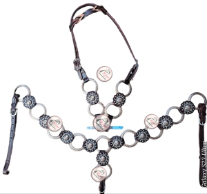 Juego de tachuelas de anillo occidental para caballos Productos Premium para caballos - Product Image 1