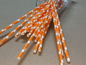 Pailles à boire en papier naturel certifié, écologiques, jetables, tendance, populaires en Europe et en Amérique, pour accessoires de bar - Product Image 6
