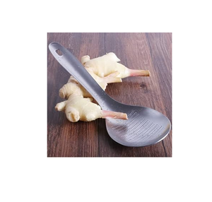 Cuchara trituradora de jengibre de acero inoxidable, utensilio de cocina, trituradora de jengibre, suministros de cocina, cuchara de ajo de jengibre de acero para el hogar - Product Image 1