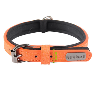 Collare per Cani Imbottito in Neoprene PU per Animali Domestici - Product Image 2