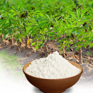 Polvo de harina de tapioca orgánica de Vietnam, nueva cosecha, ingrediente natural puro en bolsa, venta al por mayor - Product Image 1