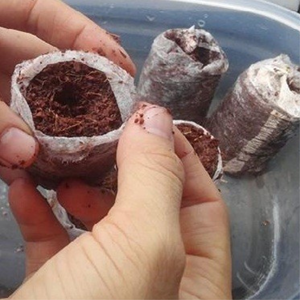 Vente en gros de granulés de tourbe de coco biodégradables-Coir Jiffy Top Quality Standard to Export from Viet Nam - Product Image 3