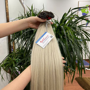 Extensions de cheveux à pointe plate Cheveux humains vietnamiens belle couleur ombre faisceaux - Product Image 1