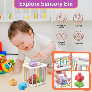 Ensemble de jouets <span class=keywords><strong>Montessori</strong></span> 6 en 1 pour les tout-petits de 1 à 3 ans, jouets de <span class=keywords><strong>dentition</strong></span> pour bébés, blocs d'empilage, anneaux, jouet à tirer, jouet de tri, bac sensoriel - Product Image 3