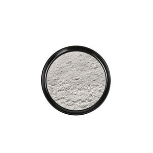 Ciment gris ultra-fin pour le plâtrage sans soudure, le rendu et les travaux de maçonnerie - Product Image 5