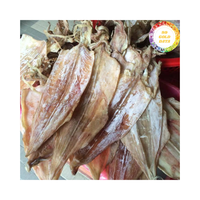 Calmar séché du Vietnam, fabriqué à partir de calmar entier, idéal pour les opérations de rôtissage et les canaux d'exportation de produits de la mer