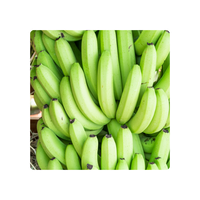 Vietnam Verse Cavendish Banaan Groene Banaan Exportleveranciers Van Vietnam Blue Lotus Goedkope Prijs 2025