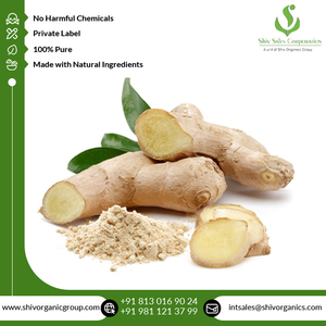 Extrait sec de gingembre de qualité supérieure, pur, naturel, de qualité alimentaire, cultivé à l'état sauvage, extrait par solvant - Product Image 2